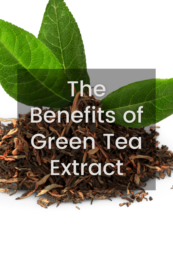 The Benefits of Green Tea Extract: A Natural Powerhouse